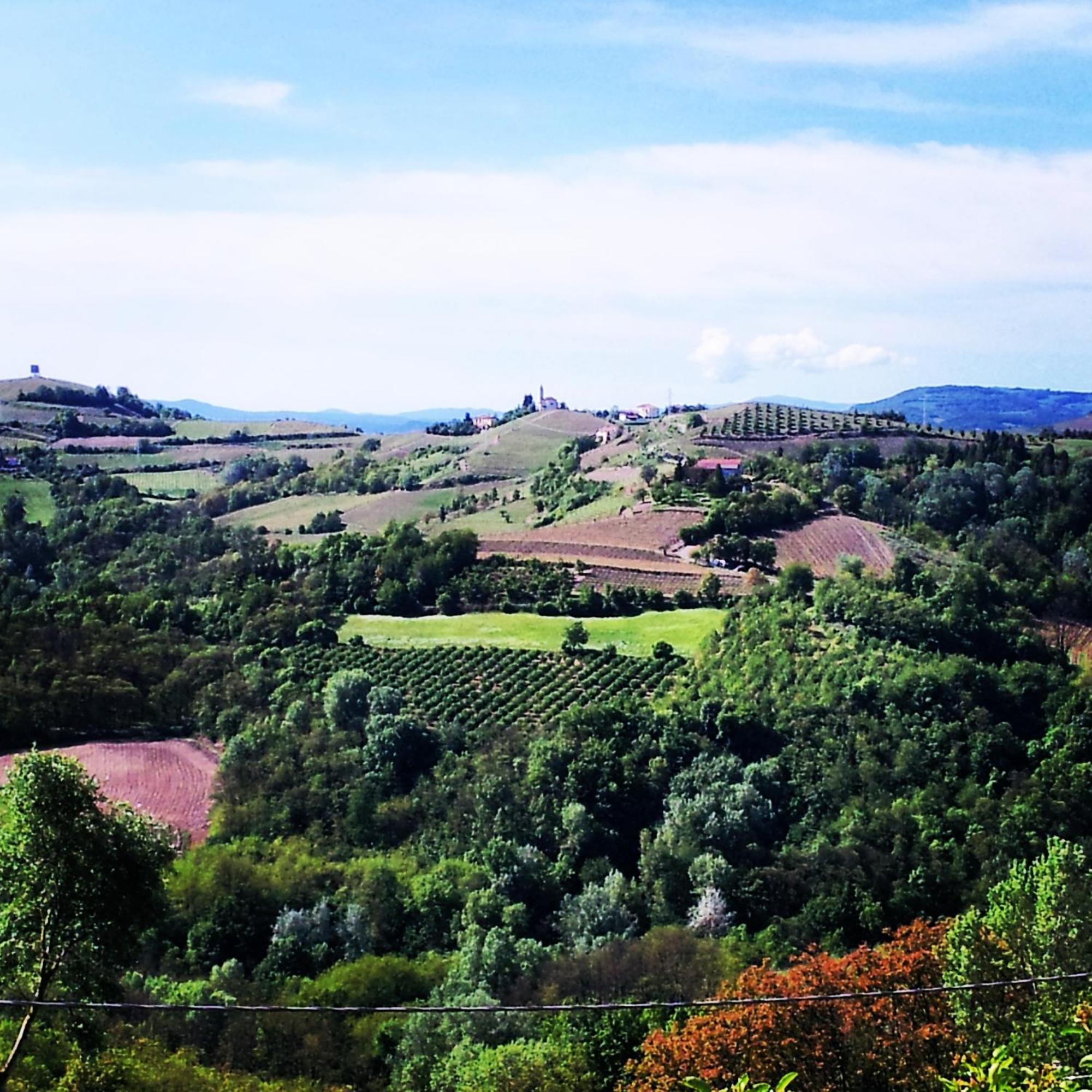 Bed And Breakfast Val D'Oche Castel Boglione Exterior photo